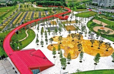 綠網(wǎng)織城，公園筑夢(mèng) 260座公園星羅棋布，繪就生態(tài)光明新畫卷